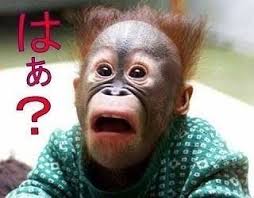 ダウンロード (2)
