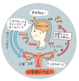 o0311031613479990077