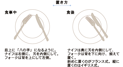 vol1_il22